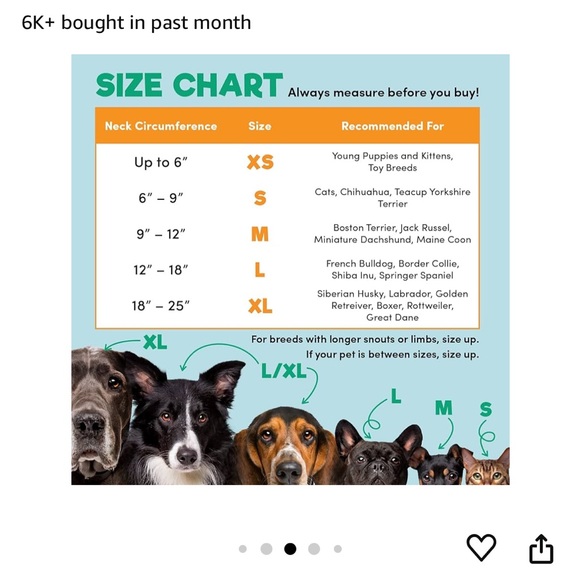 BENCMATE Protective Inflatable Collar for Dogs and Cats Size L - Picture 4 of 7